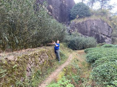 Img 1024 49533431268 O