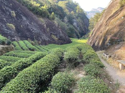 Img 1031 49533927486 O