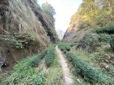 Img 1036 49533928051 O