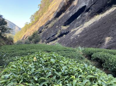 Img 1039 49533928496 O