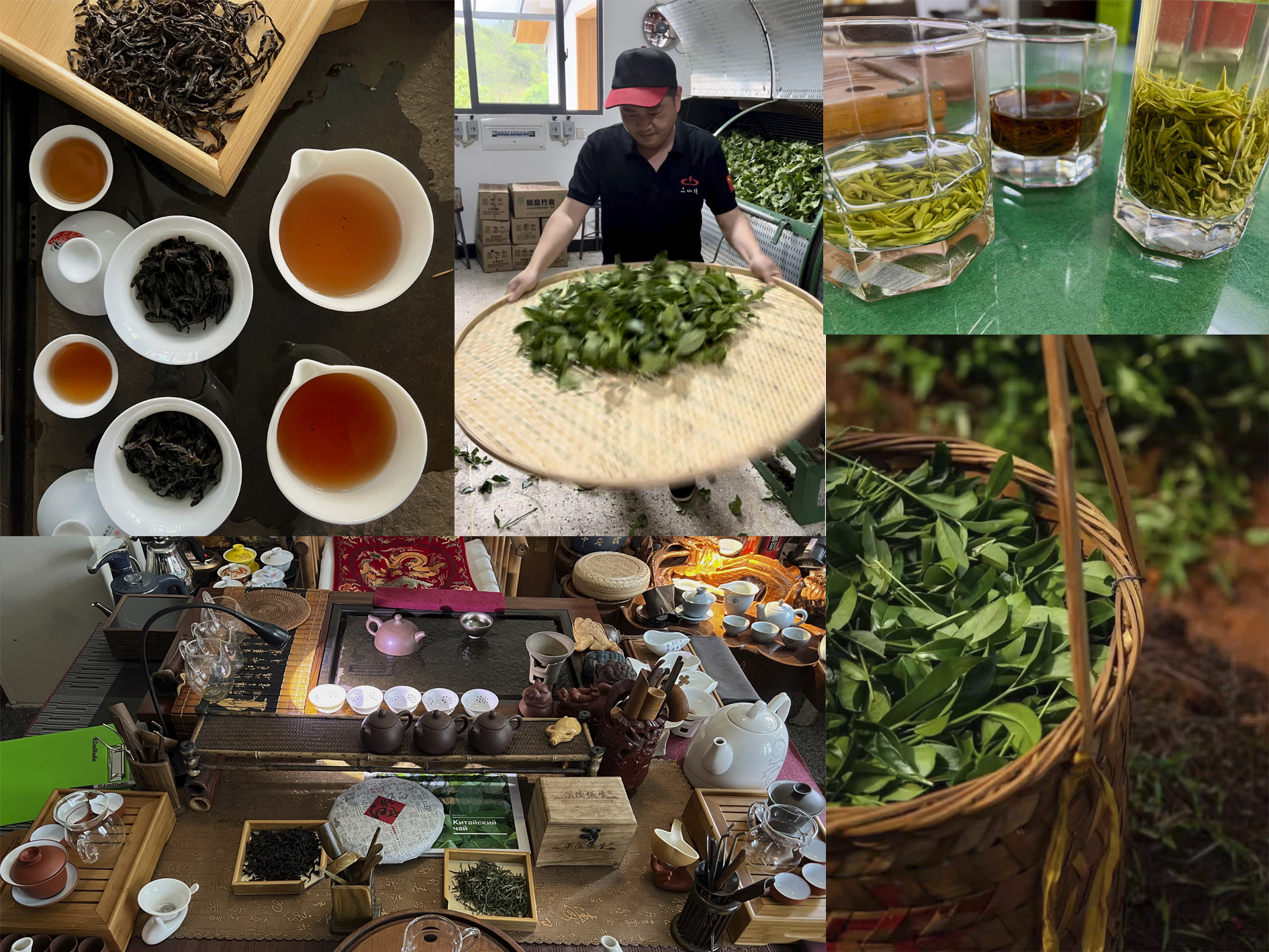 tea school collage 2023