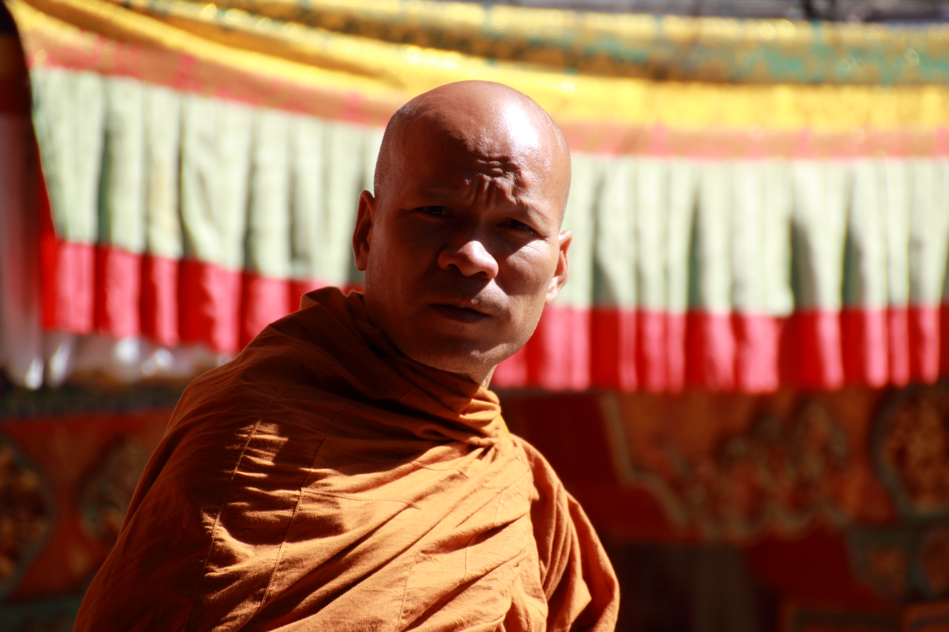 dpp_0001145_9159745574_o