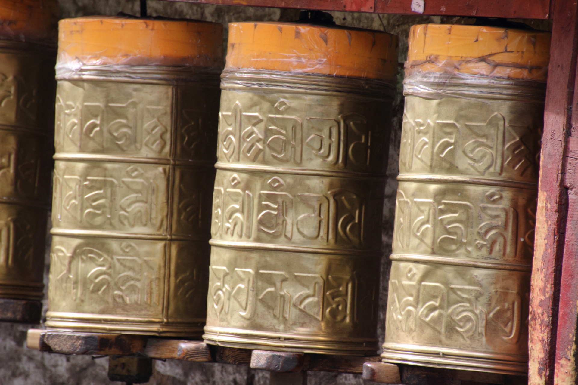 dpp_0070_9157199177_o