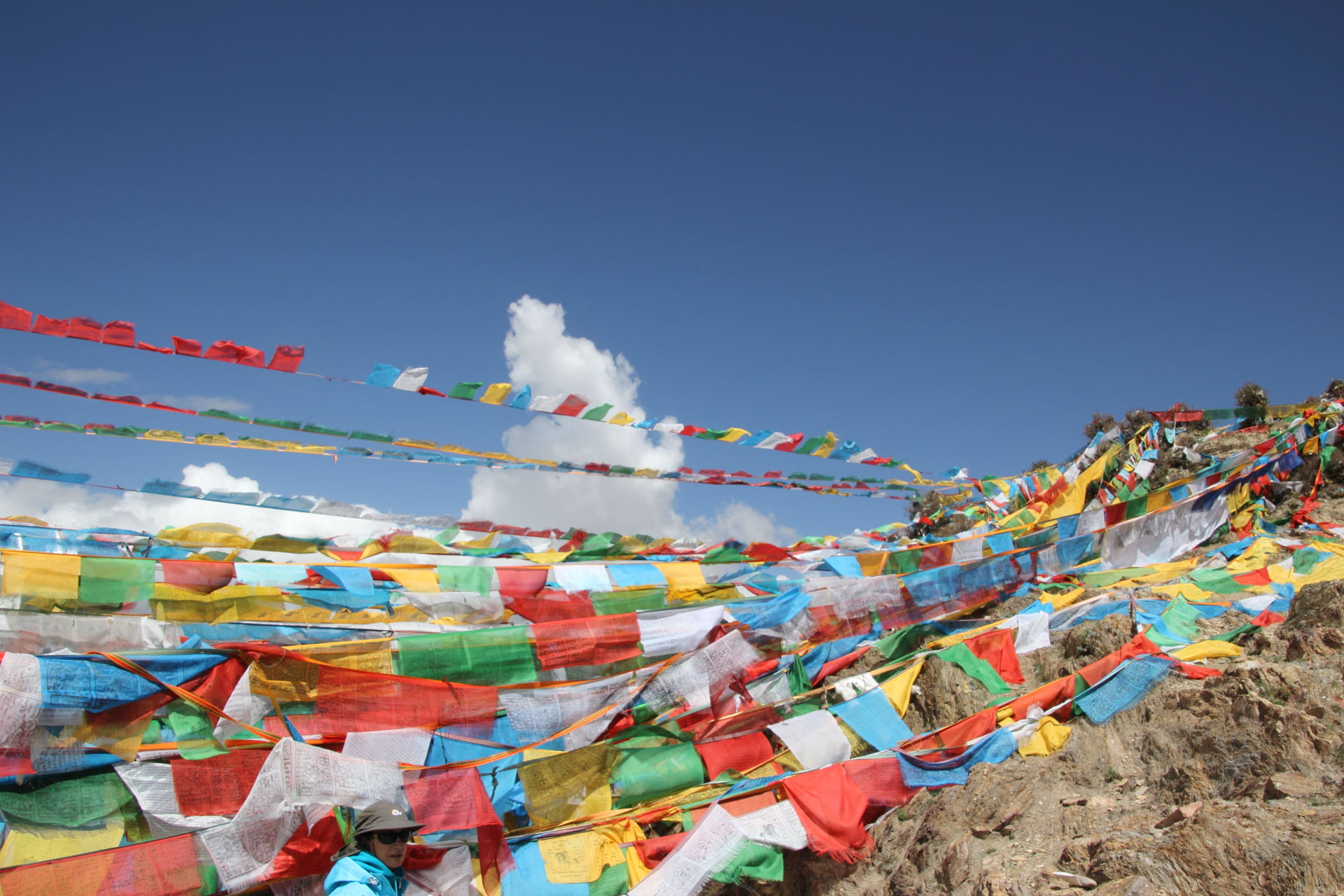 dpp_0215_9159297020_o