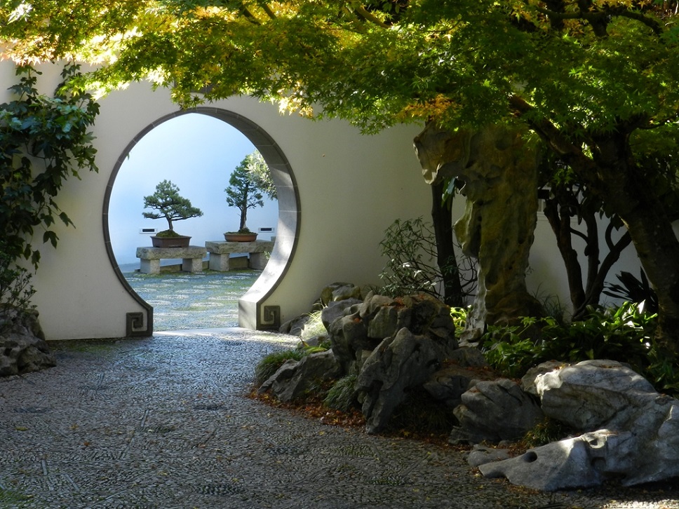chinese garden 37363678