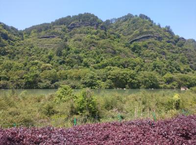 Imag0389 47949246253 O