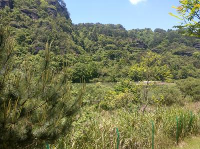 Imag0392 47949248603 O