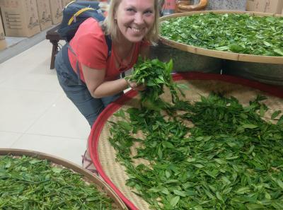 Imag0429 47949255413 O1