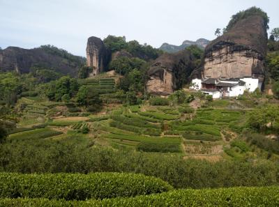 Imag0448 47949258813 O