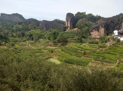 Imag0451 47949293526 O