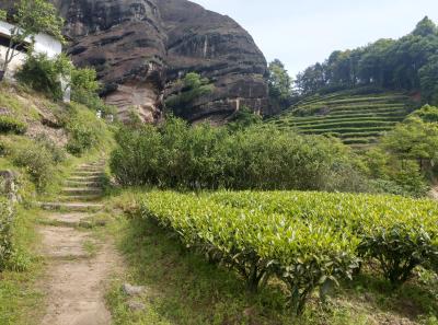 Imag0453 47949248867 O