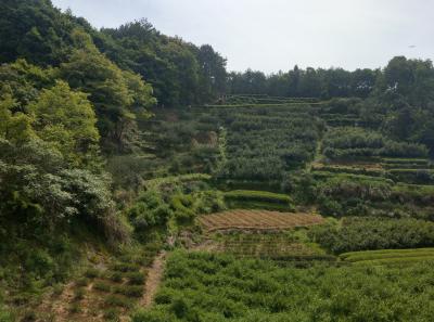 Imag0455 47949250842 O