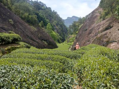 Imag0471 47949262927 O