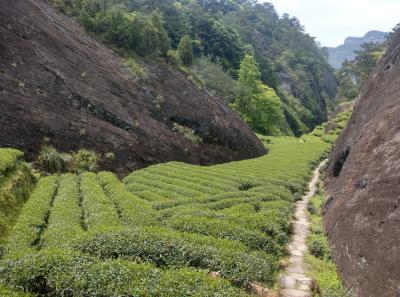 Imag0472 47949264352 O