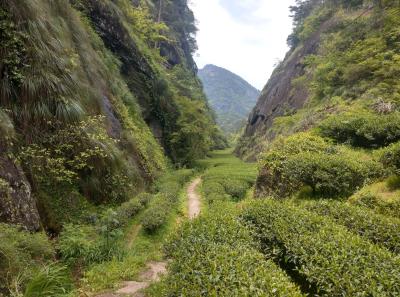 Imag0477 47949279443 O