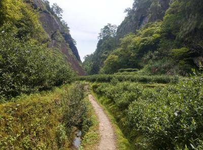 Imag0482 47949281793 O