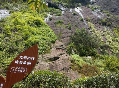 Imag0486 47949270037 O