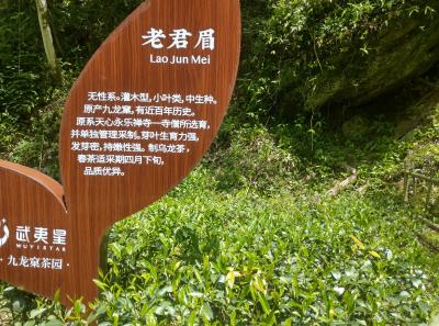 Imag0489 47949286783 O