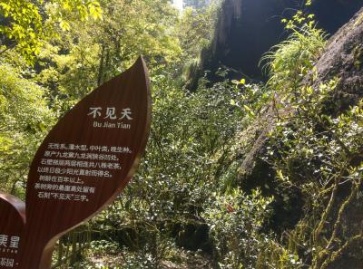 Imag0490 47949320491 O