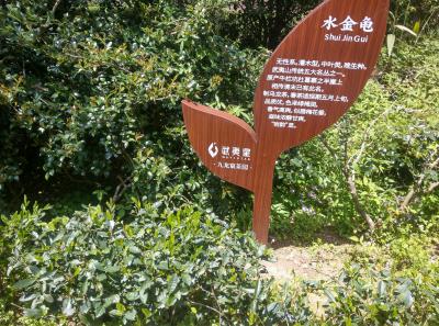 Imag0494 47949325166 O