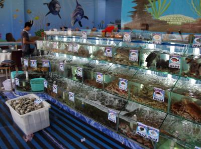 Img 1841 40849315014 O