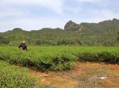 Img 1881 41560834051 O