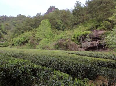 Img 1895 41560846081 O