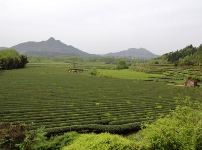 Img 1898 41560848731 O