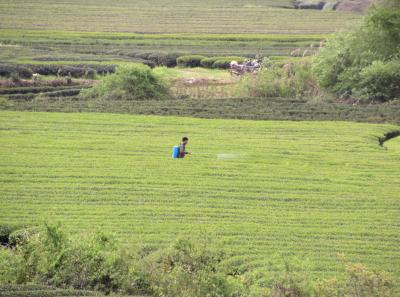 Img 1901 40667989305 O