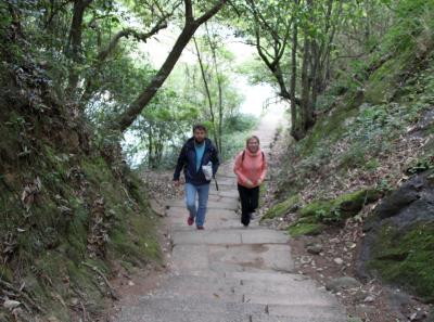 Img 1911 40668032615 O