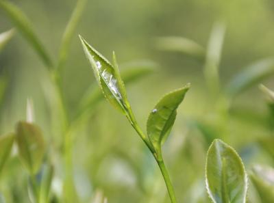 Img 0984 34203836856 O