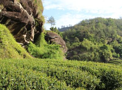 Img 0992 33403191994 O