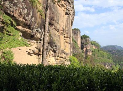 Img 1006 33403213374 O