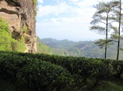 Img 1010 34244399565 O