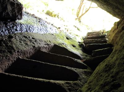 Img 1016 34244402135 O