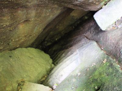 Img 1018 34244406575 O