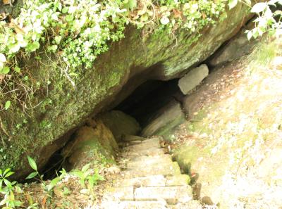 Img 1019 34087624082 O