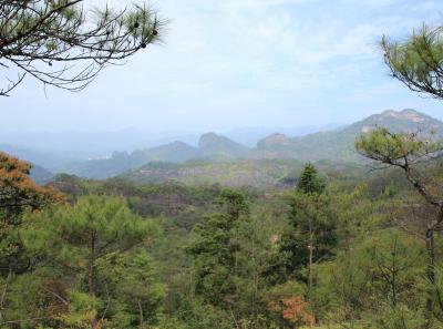 Img 1030 34203895256 O