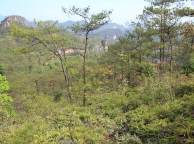 Img 1039 34244440895 O