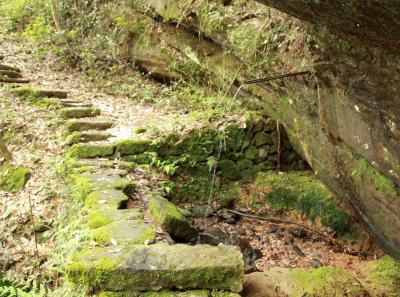 Img 1045 33434157703 O