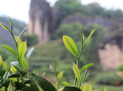 Img 1118 34087513532 O