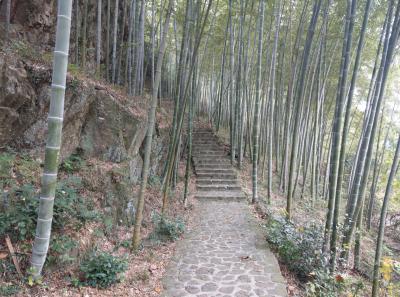 China 2018 15 45837165735 O