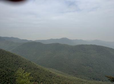 China 2018 19 46699676292 O