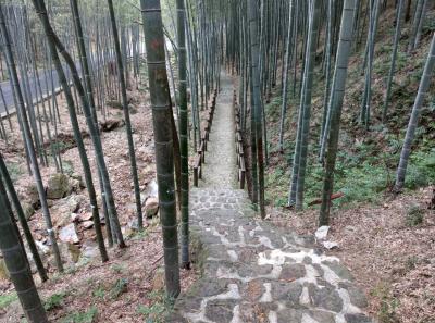 China 2018 28 46027560364 O