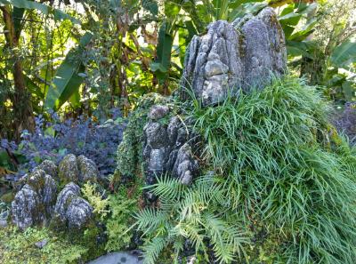 China 2018 38 39787126703 O