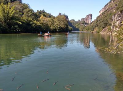 China 2018 41 46027578184 O