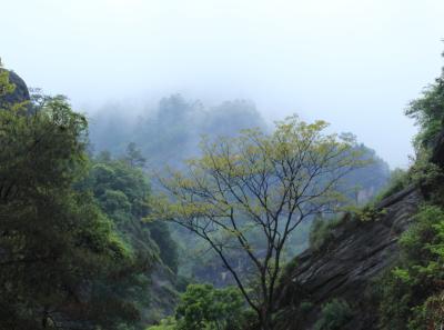 Img 0058 26653160965 O