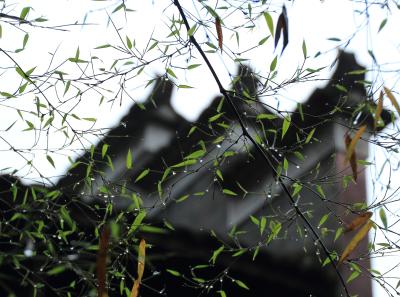 Img 0074 26047245504 O