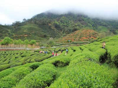 Img 9840 26626615816 O