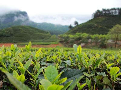 Img 9845 26560012392 O